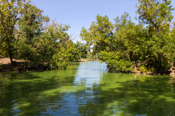Calm lake in green park on summer