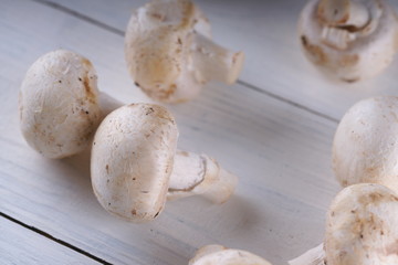 Mushrooms champignons on a white wooden background