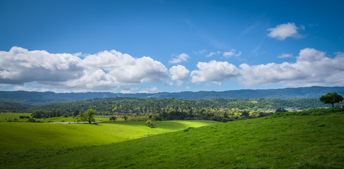 Obraz premium Good day on the green hills