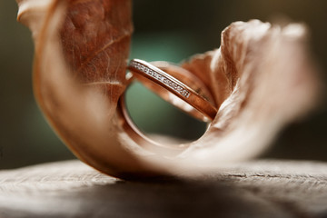 Beautiful wedding brides rings inside a leaf