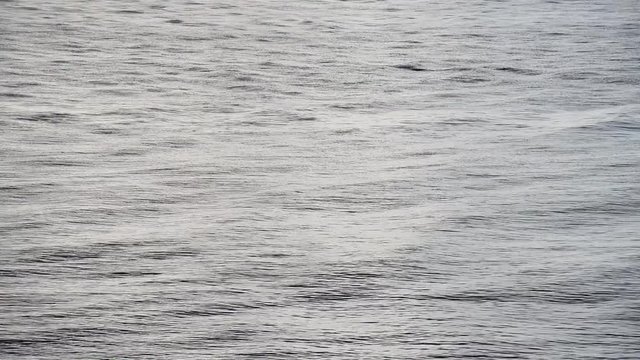 riflessi sul mare calmo