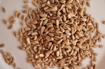 sunflower seeds