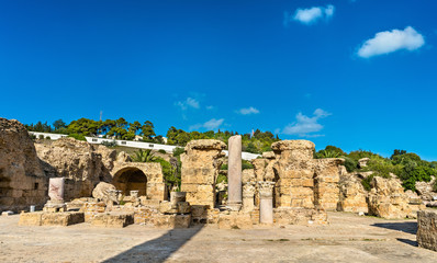 Ruins of the Baths of Antoninus in Carthage, Tunisia.