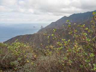 Die Insel Teneriffa