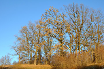 City Park in early spring