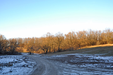 City Park in early spring