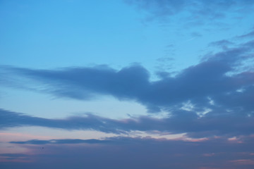 evening sky with cumulus clouds