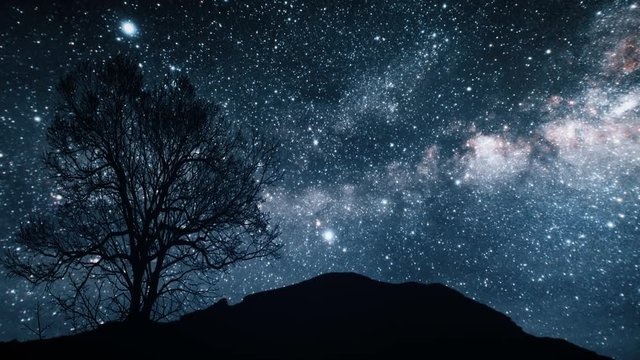 A tree on a hill under a starry sky. Elements of this image furnished by NASA