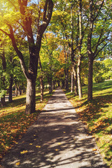 Path in park. Early autumn scenery