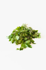 Small bunch of freshly cut and washed Italian flat leaf parsley on white kitchen table