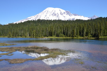 Mount Rainier