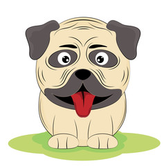 Cute dog breed pug isolated on white background.