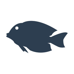 Fish icon on white background.