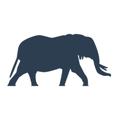 Obraz na płótnie Canvas Elephant icon on white background.