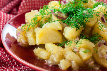 Traditional German potato salad