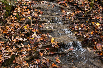 Waterfall in Fall