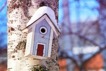 Birdhouse hanging on tree in winter Rovaniemi