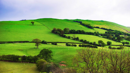 Fototapeta na wymiar Green hills in Brecon Beacons in South Wales UK