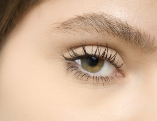 Obraz premium eye macro shot