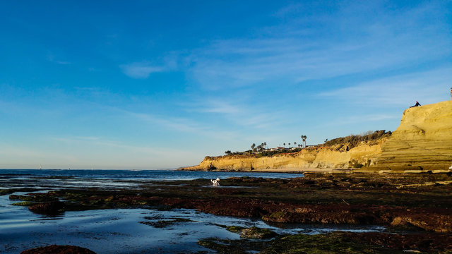 Minus Low Tide at Sunset Cliffs in San Diego Califronia