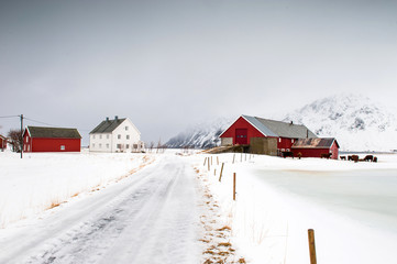 Lofoten's landscape, Norway