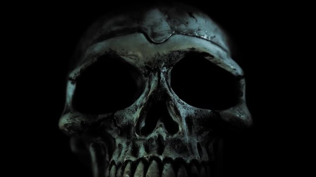 a human skull comes out of the dark