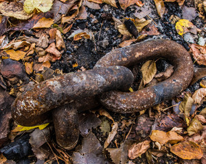 A macro shot of a rusty ship anchor chain