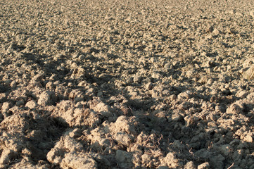 Campo lavorato 2