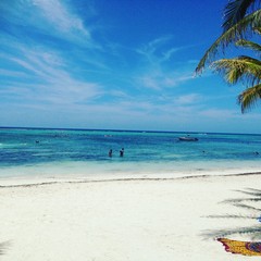 Akumal beach, Mexico