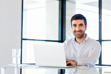 Obraz na płótnie Canvas Handsome businessman working at computer