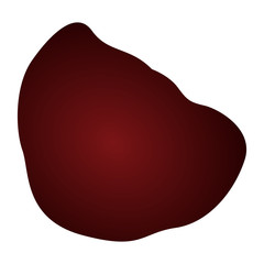 Isolated petal illustration