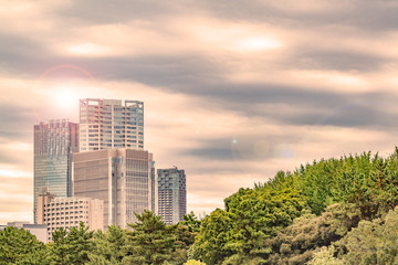 都会のビルと木々