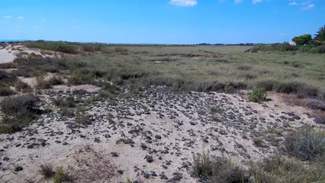Isla Canela desde el aire con drone. Foto aerea de isla española situada en  Ayamonte (Huelva,España)