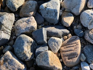 Can you imagine how many years they are here?