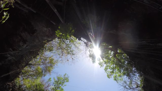 Beautiful deep cenote at Ek Balaam mayan ruin