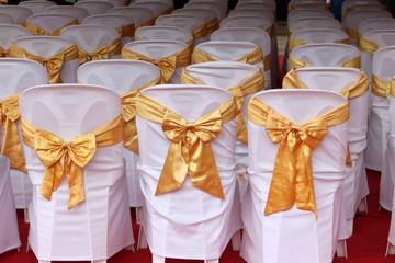 White chairs decorated for meetings and ceremonies.