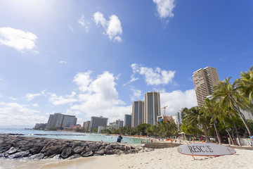 ワイキキの風景