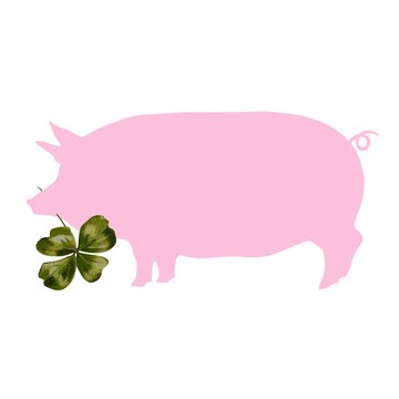 Schwein als Glücksbringer - Hausschwein mit Kleeblatt - grafisches Element bestehend aus Vekor Umriss Lithographie