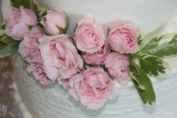 Flora Cake