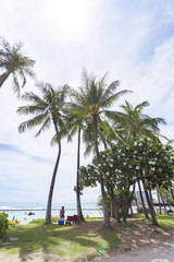 ワイキキ　カラカウア通り