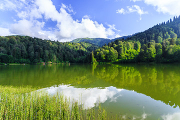 Fototapeta premium Landscape view of Karagol (Black lake) in Savsat,Artvin,Turkey
