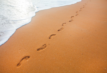 beach, wave and footprints at sunset time
