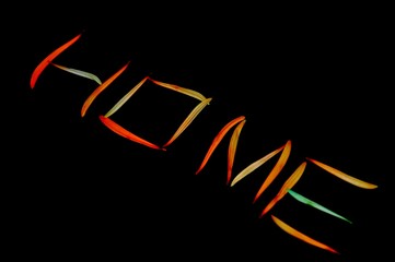 Home Sweet Home. Flower Petals arranged to form a letter HOME.  Creative flash photography used to create unique image for home or office decor or any other use.