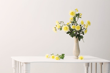 still life with chrysanthemums on white background