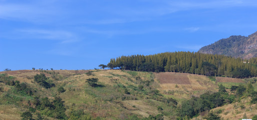 Beautiful scenery on the mountain.