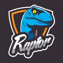Raptor design template