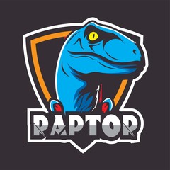 Raptor design template
