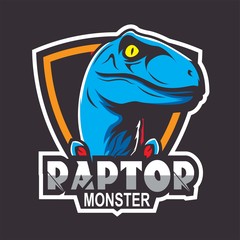Raptor design template