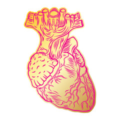 Valentine's day anatomical human heart. Print on t shirts concept. Sticker, pin or patch. flesh tattoo hand drawing idea. Vector.