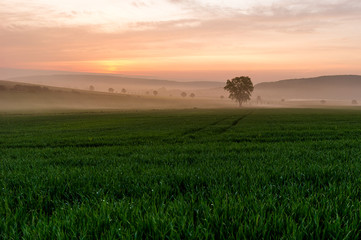 Schoner Sonnenaufgang auf dem Land